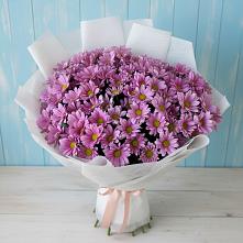 Букет цветов из:  Хризантемы в Дружинино