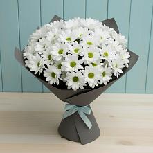 Букет цветов из:  Хризантемы #REPLACE_PRED# Дружинино